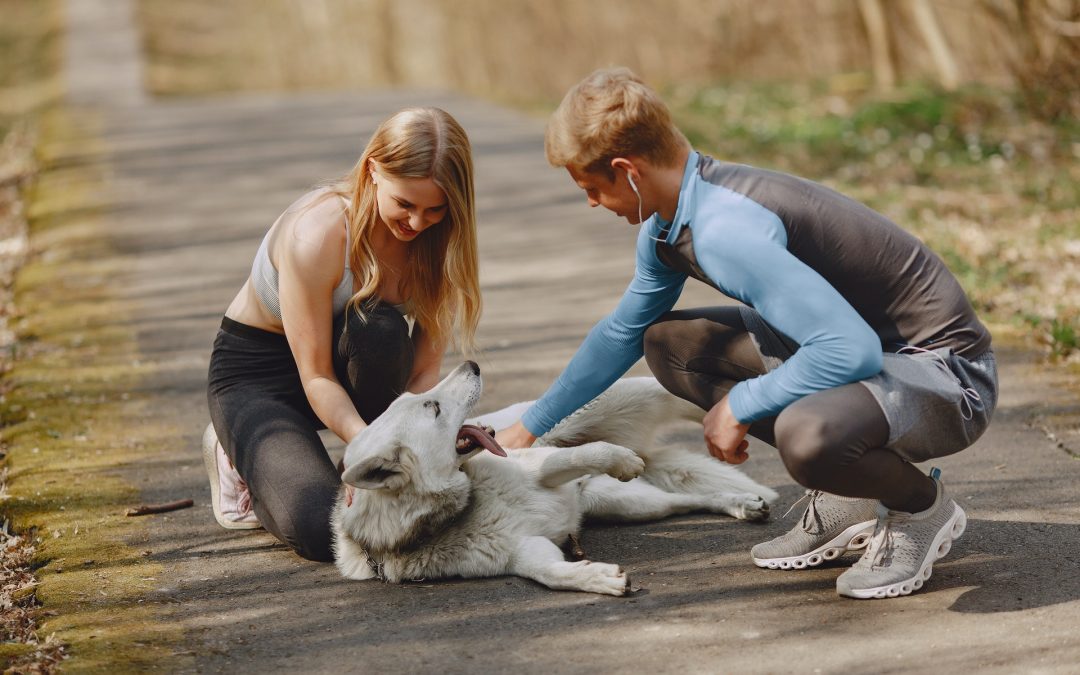 The Cost Of Pet Ownership – Dogs and Cats